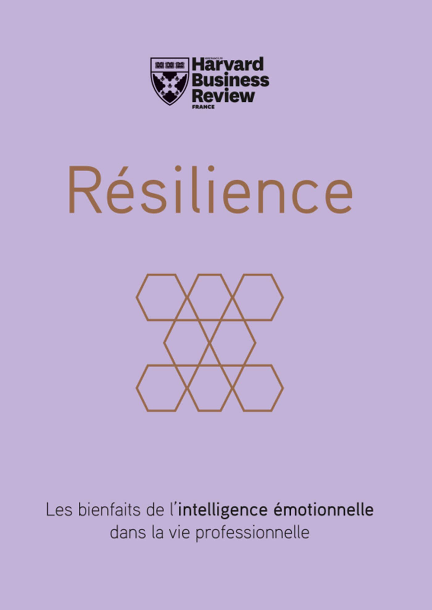 Résilience