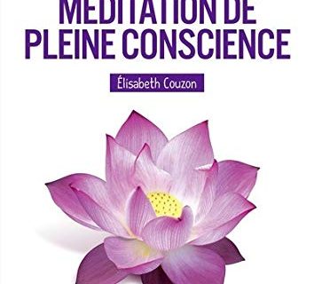 Le Petit livre de la méditation de pleine conscience