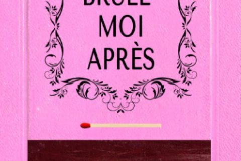 Brule-moi après: Un livre de développement personnel pour adultes (Rosa Edition)