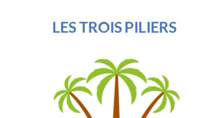 Développement personnel Les trois piliers: Développer son estime sa confiance et son affirmation de soi : super cadeau