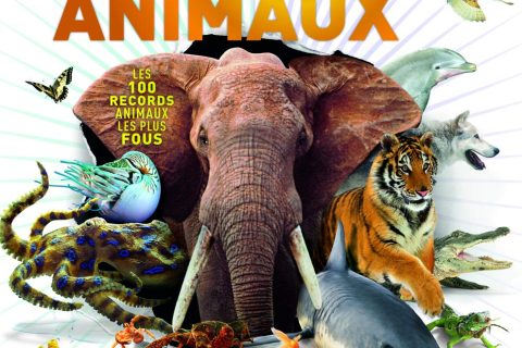 Incroyables animaux. Les 100 records animaux les plus fous • Dès 9 ans