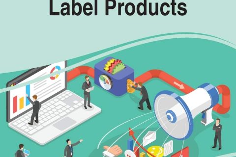 Improving Marketing Strategies for Private Label Products