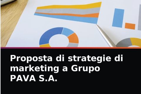 Proposta di strategie di marketing a Grupo PAVA S.A.