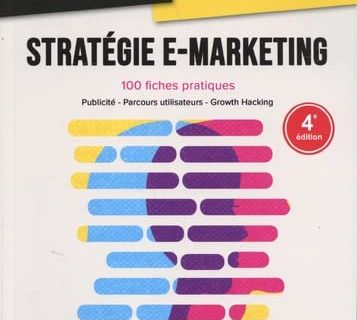 Stratégie E-Marketing: 100 FICHES PRATIQUES