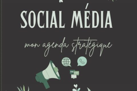 social média mon agenda stratégique: Planificateur de médias sociaux, consultant en marketing numérique, planificateur de médias sociaux 2022-2023, ... comptes, calendrier de publication majeur