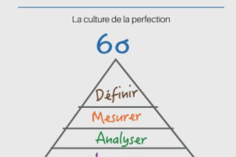 Gestion & Marketing : La méthode Six Sigma de l'entreprise performante : Comment créer une culture de la perfection ?