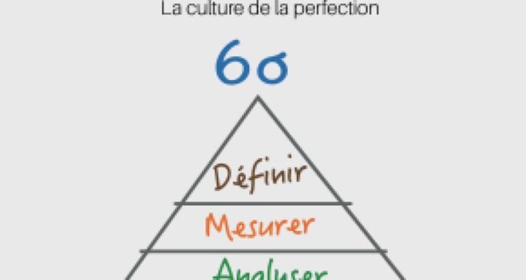 Gestion & Marketing : La méthode Six Sigma de l'entreprise performante : Comment créer une culture de la perfection ?