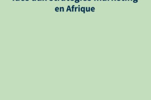 Comportement du consommateur face aux stratégies marketing en Afrique