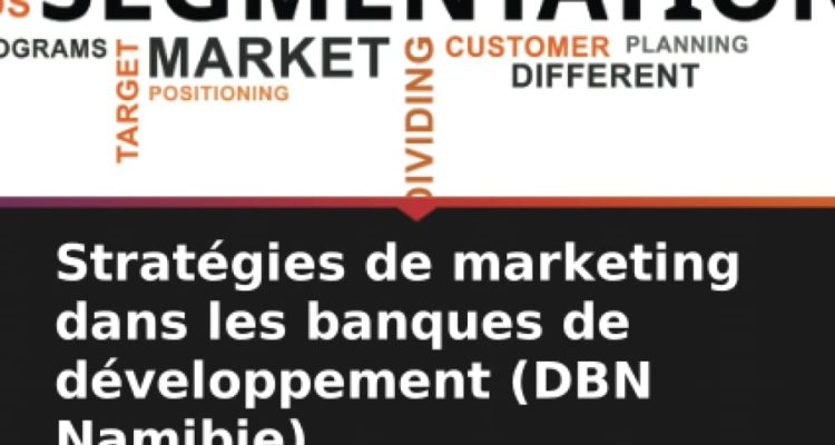 Stratégies de marketing dans les banques de développement (DBN Namibie)