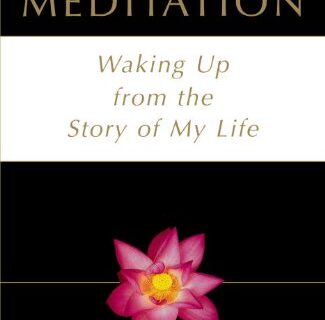 Bare-Bones Meditation: Waking Up from the Story of My Life (English Edition)