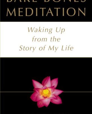 Bare-Bones Meditation: Waking Up from the Story of My Life (English Edition)