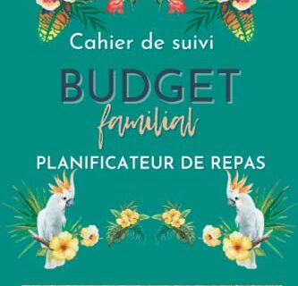 Cahier de suivi BUDGET Familial A5 Jungle en COULEUR, Planificateur de Repas inclus, 1 an de suivi, 1 page par semaine, 1 page bilan par mois: Cahier ... Budget Maman, Livre Budget, Agenda Famille