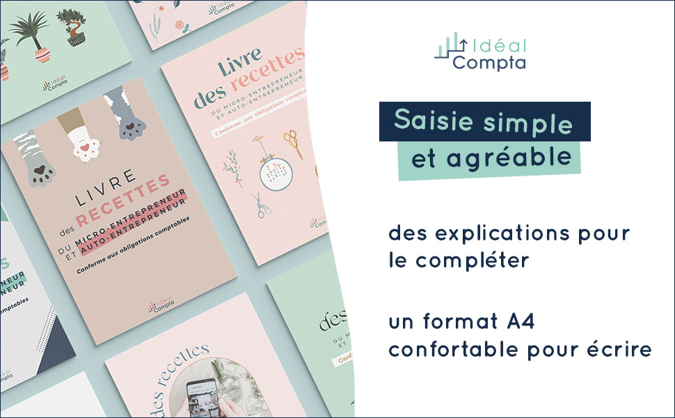 livre des recettes micro entrepreneur simple