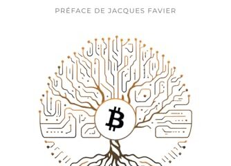 L’Élégance de Bitcoin: Histoire, enjeux et principes